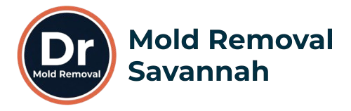 Mold Removal Savannah GA