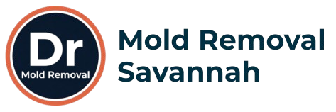 Mold Removal Savannah GA